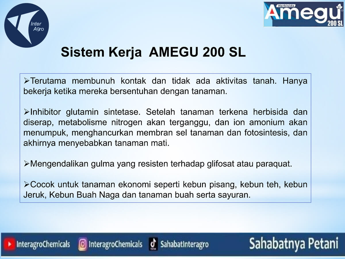 1. Amegu 200 Slpng Page4