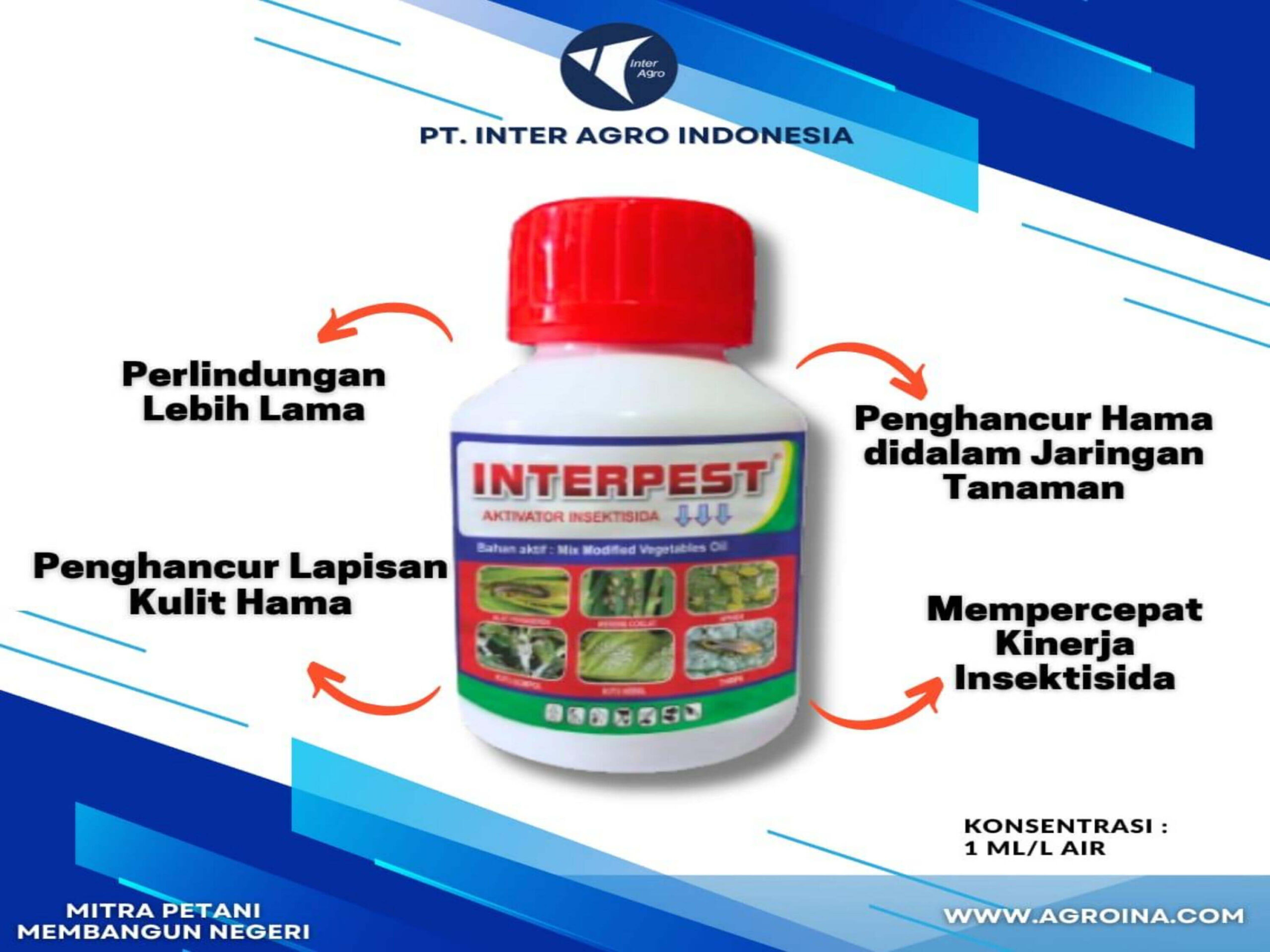 10. Interpestjpg Page3